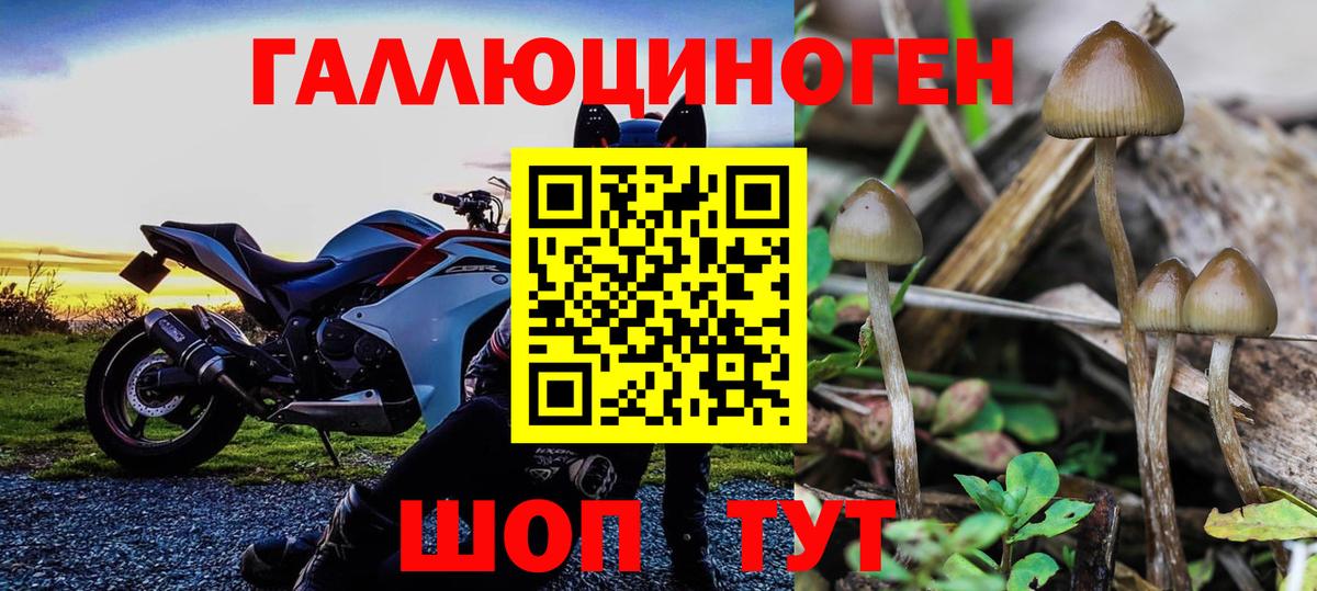 Псилоцибиновые грибы Psilocybine cubensis  Вход с VPN  Галлюциногенные грибы Magic Shrooms  Югорск 